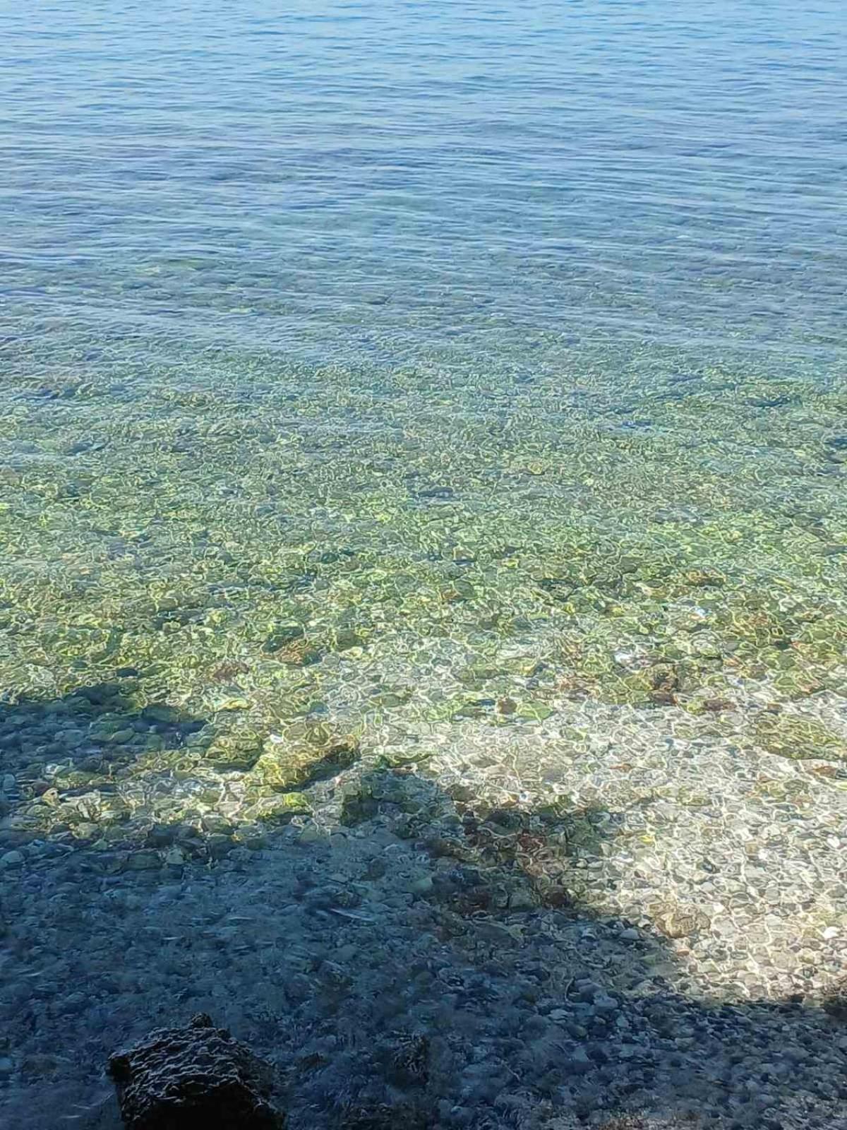 شقة Maestral بوريتش المظهر الخارجي الصورة